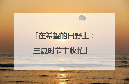 在希望的田野上：三夏时节丰收忙