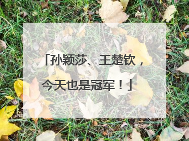 孙颖莎、王楚钦，今天也是冠军！