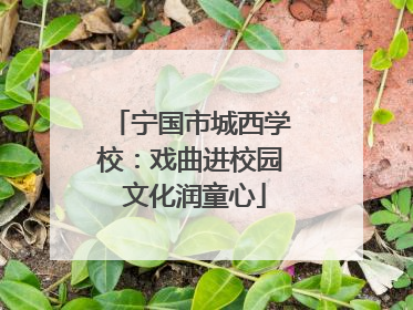 宁国市城西学校：戏曲进校园 文化润童心
