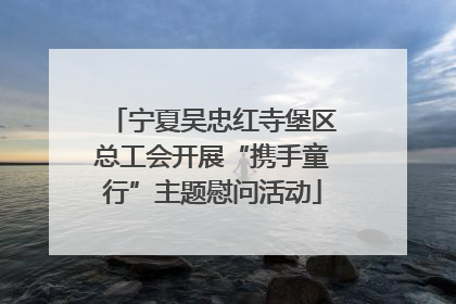 宁夏吴忠红寺堡区总工会开展“携手童行”主题慰问活动