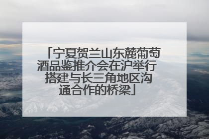 宁夏贺兰山东麓葡萄酒品鉴推介会在沪举行 搭建与长三角地区沟通合作的桥梁