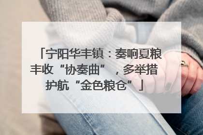 宁阳华丰镇：奏响夏粮丰收“协奏曲”，多举措护航“金色粮仓”