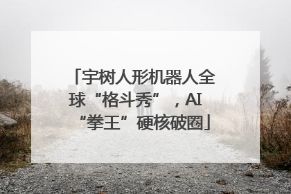 宇树人形机器人全球“格斗秀”，AI“拳王”硬核破圈