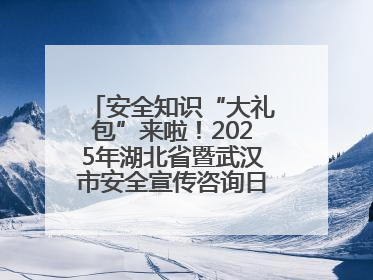 安全知识“大礼包”来啦！2025年湖北省暨武汉市安全宣传咨询日活动在汉举行