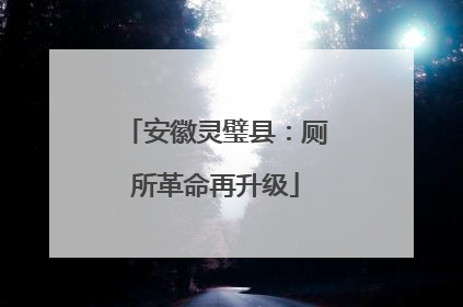 安徽灵璧县：厕所革命再升级
