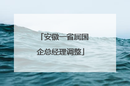 安徽一省属国企总经理调整