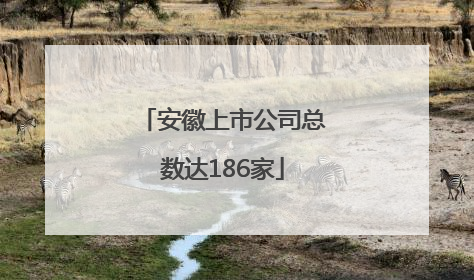 安徽上市公司总数达186家