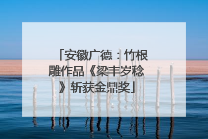 安徽广德：竹根雕作品《梁丰岁稔》斩获金鼎奖