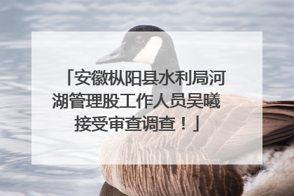 安徽枞阳县水利局河湖管理股工作人员吴曦接受审查调查！