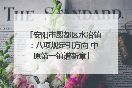 安阳市殷都区水冶镇：八项规定引方向 中原第一镇谱新章