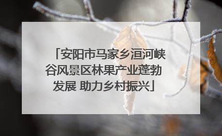 安阳市马家乡洹河峡谷风景区林果产业蓬勃发展 助力乡村振兴