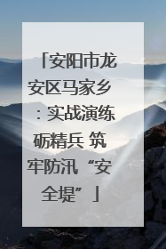 安阳市龙安区马家乡：实战演练砺精兵 筑牢防汛“安全堤”