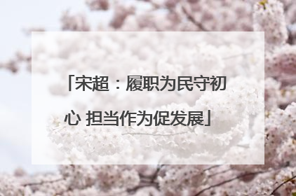 宋超：履职为民守初心 担当作为促发展
