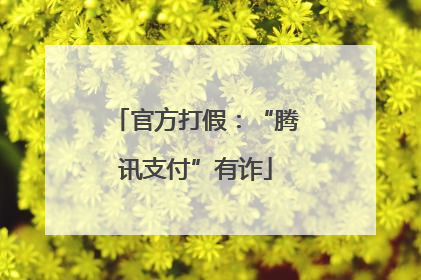 官方打假：“腾讯支付”有诈