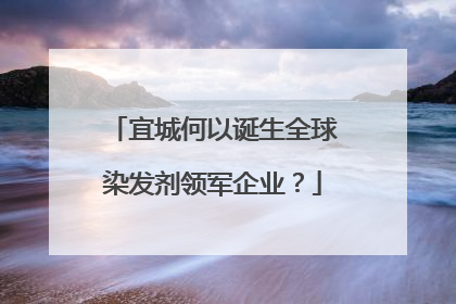 宜城何以诞生全球染发剂领军企业？