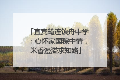 宜宾筠连镇舟中学：心怀家国粽中情，米香漫溢求知路