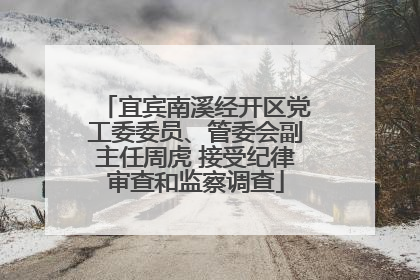 宜宾南溪经开区党工委委员、管委会副主任周虎 接受纪律审查和监察调查