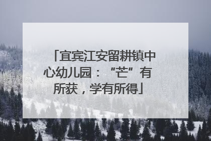 宜宾江安留耕镇中心幼儿园：“芒”有所获，学有所得