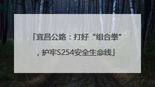 宜昌公路：打好“组合拳”，护牢S254安全生命线