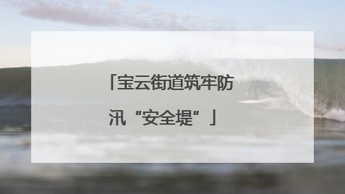 宝云街道筑牢防汛“安全堤”