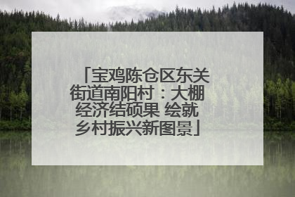 宝鸡陈仓区东关街道南阳村：大棚经济结硕果 绘就乡村振兴新图景