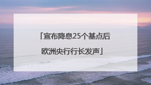 宣布降息25个基点后 欧洲央行行长发声