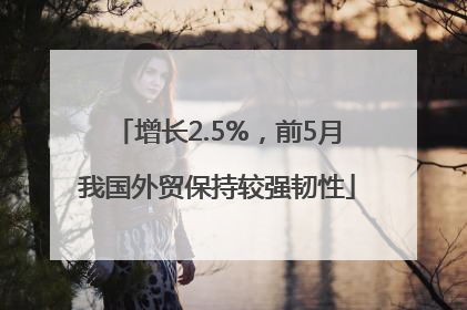 增长2.5%，前5月我国外贸保持较强韧性