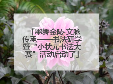 墨舞金陵·文脉传承——书法研学暨“小状元书法大赛”活动启动了