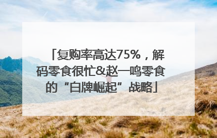 复购率高达75%，解码零食很忙&赵一鸣零食的“白牌崛起”战略