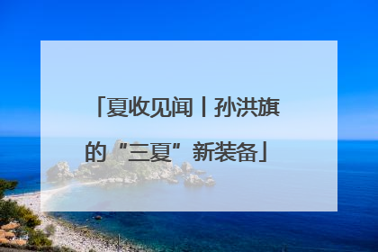 夏收见闻丨孙洪旗的“三夏”新装备