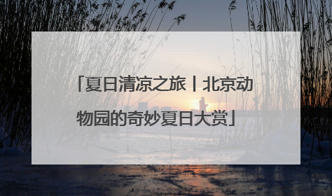 夏日清凉之旅丨北京动物园的奇妙夏日大赏