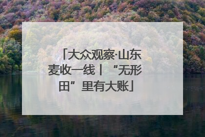 大众观察·山东麦收一线丨“无形田”里有大账