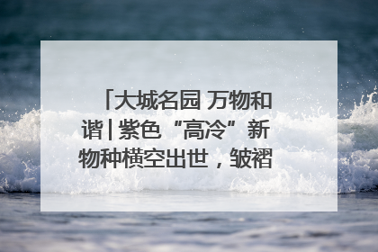 大城名园 万物和谐│紫色“高冷”新物种横空出世，皱褶叶片暗藏进化密码