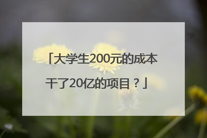 大学生200元的成本干了20亿的项目？
