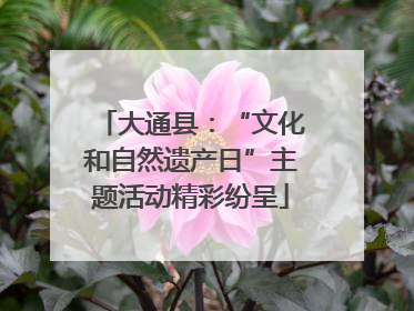 大通县：“文化和自然遗产日”主题活动精彩纷呈