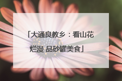 大通良教乡：看山花烂漫 品砂罐美食