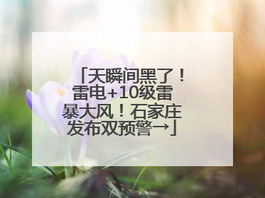 天瞬间黑了！雷电+10级雷暴大风！石家庄发布双预警→