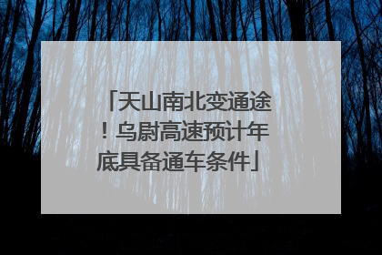 天山南北变通途！乌尉高速预计年底具备通车条件