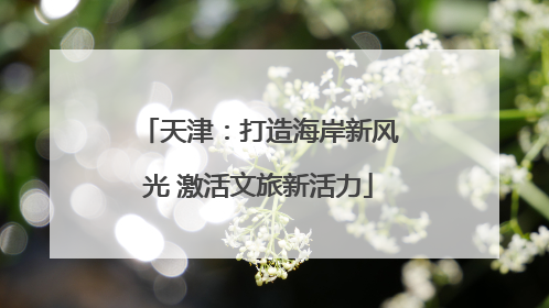 天津：打造海岸新风光 激活文旅新活力