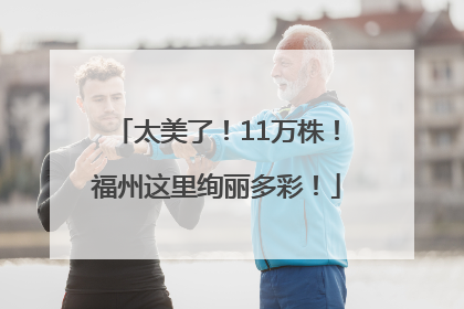 太美了！11万株！福州这里绚丽多彩！