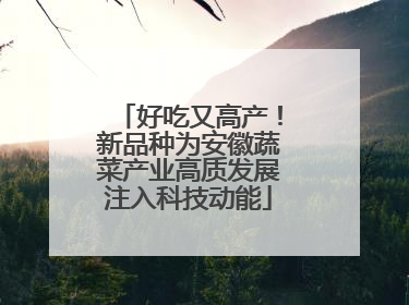 好吃又高产！新品种为安徽蔬菜产业高质发展注入科技动能