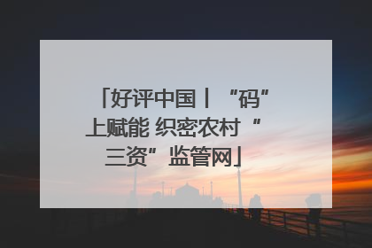 好评中国丨“码”上赋能 织密农村“三资”监管网