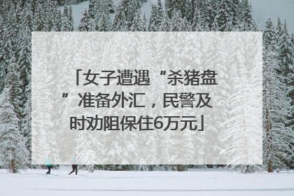 女子遭遇“杀猪盘”准备外汇，民警及时劝阻保住6万元