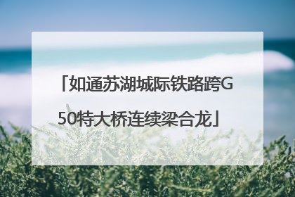 如通苏湖城际铁路跨G50特大桥连续梁合龙