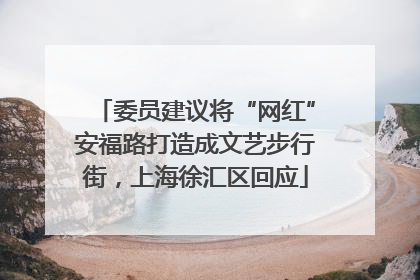 委员建议将“网红”安福路打造成文艺步行街，上海徐汇区回应