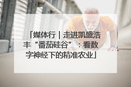 媒体行｜走进凯盛浩丰“番茄硅谷”：看数字神经下的精准农业