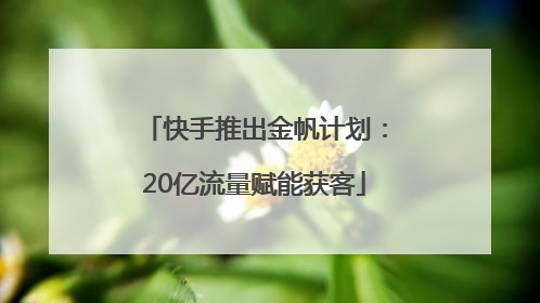 快手推出金帆计划：20亿流量赋能获客