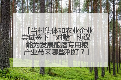 当村集体和农业企业尝试签下“对赌”协议 能为发展酿酒专用粮产业带来哪些利好？