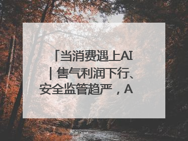 当消费遇上AI｜售气利润下行、安全监管趋严，AI浪潮下城燃企业如何破局