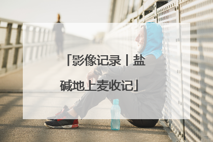 影像记录丨盐碱地上麦收记